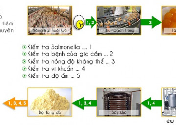 Công nghệ và quy trình sản xuất IgY Công nghệ và quy trình sản xuất IgY