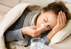Lựa chọn IgY cho bệnh cúm