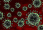 764 ca tử vong vì cúm H1N1 tại Brazil