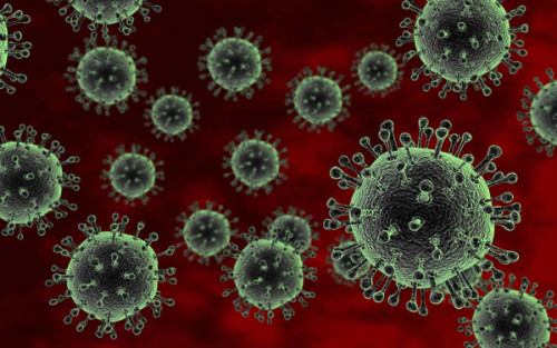 Bệnh cúm A H5N1 là gì? 1