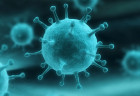 Cúm B là gì? Tìm hiểu chung về bệnh cúm B