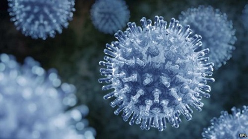 Các loại virus cúm thường gặp gây bệnh ở người 1
