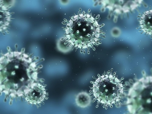 Đối phó với dịch cúm gia cầm đang diễn biến phức tạp 1